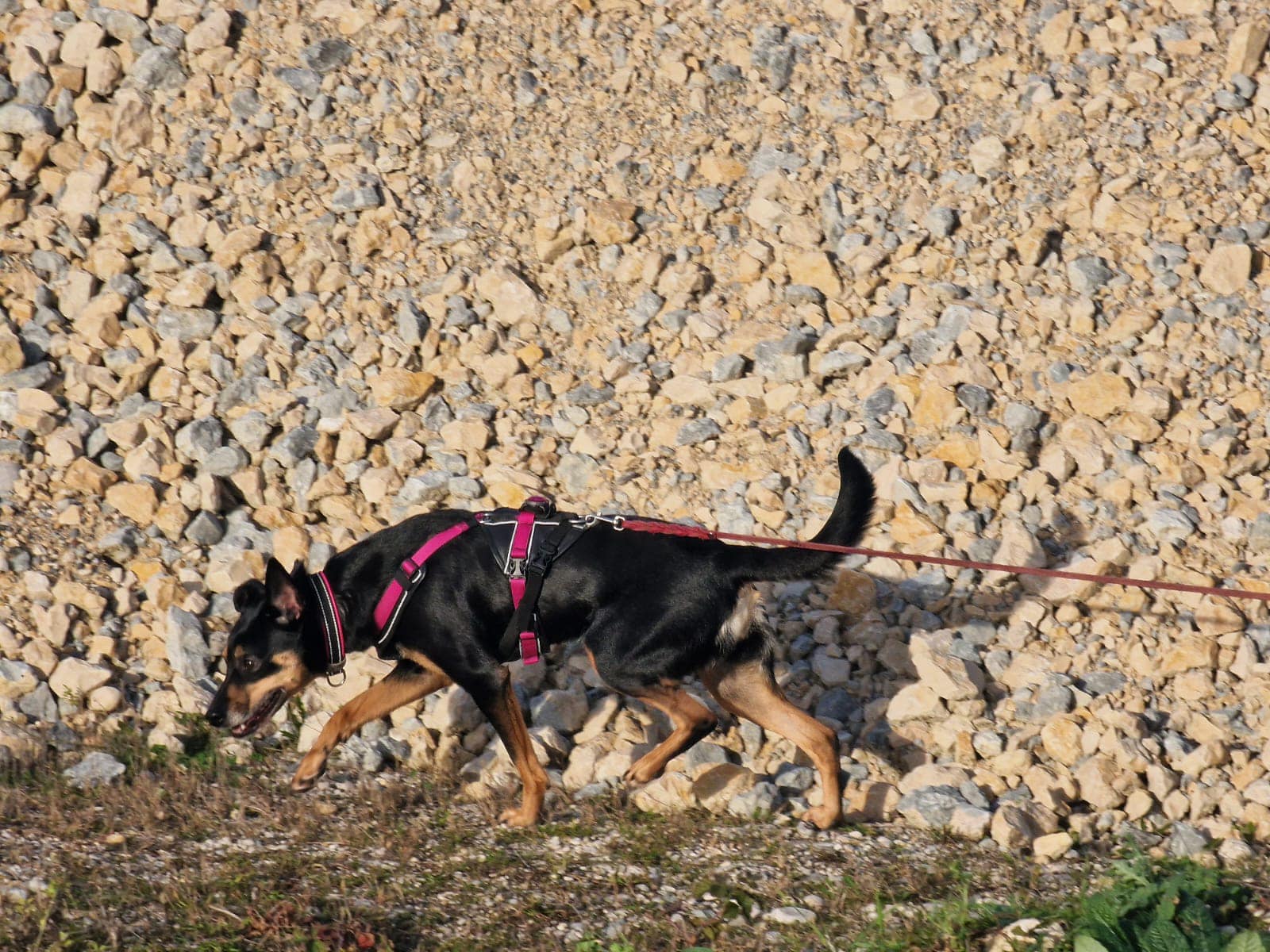 De rol van vetten bij langdurige inspanning