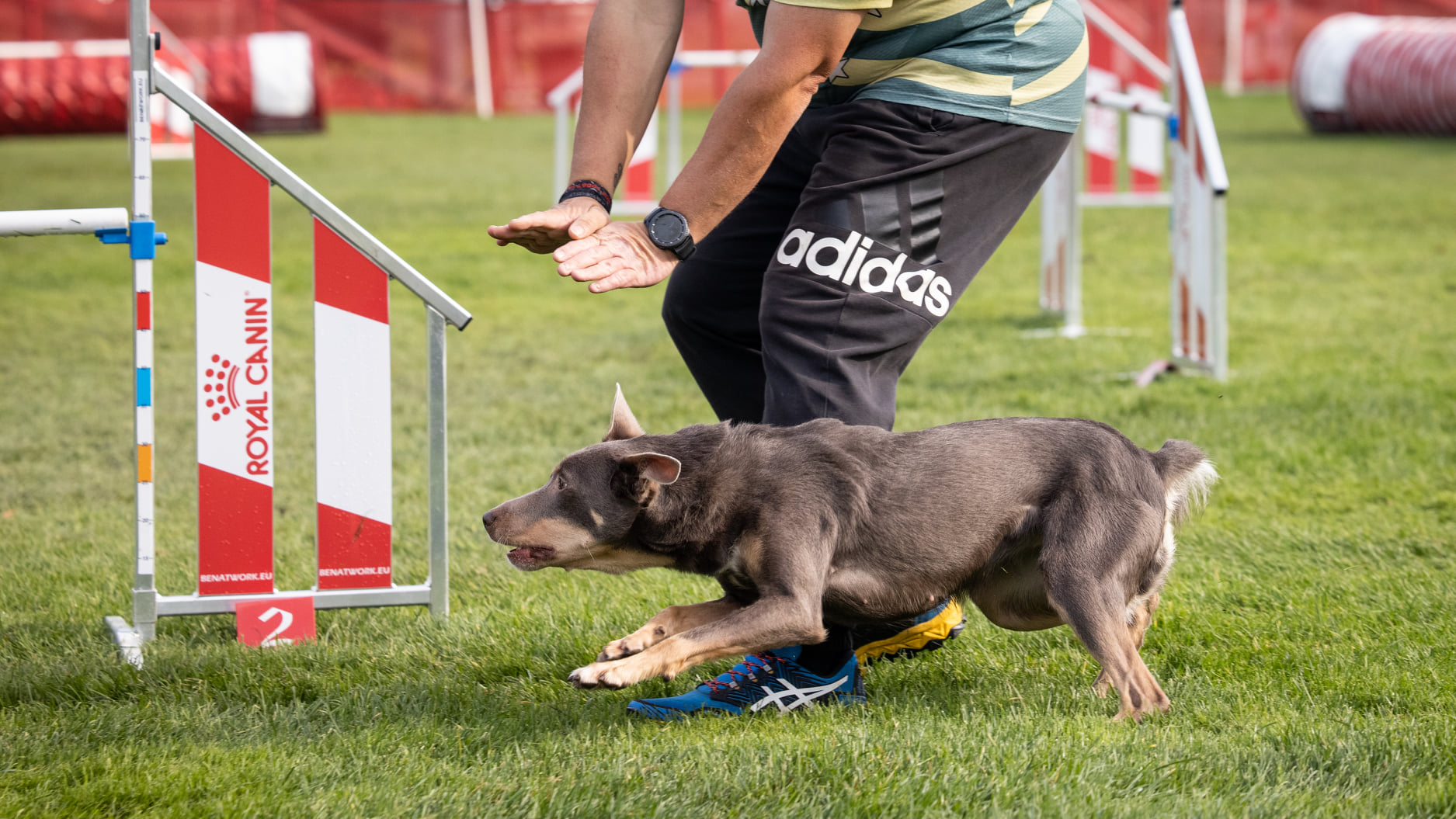 Van warming-up tot cooling-down