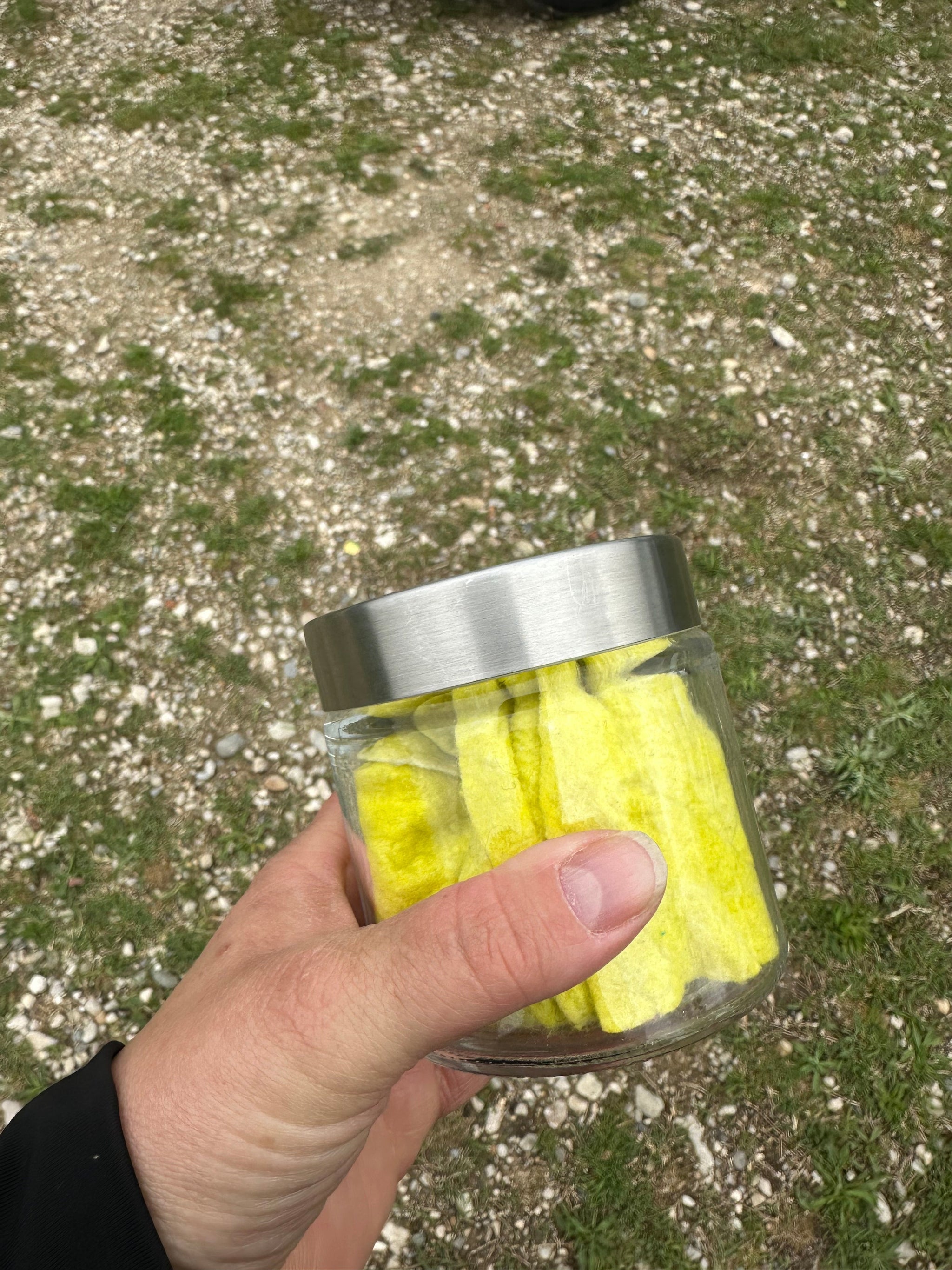 Het geurvoorwerp: het begin van elke trail