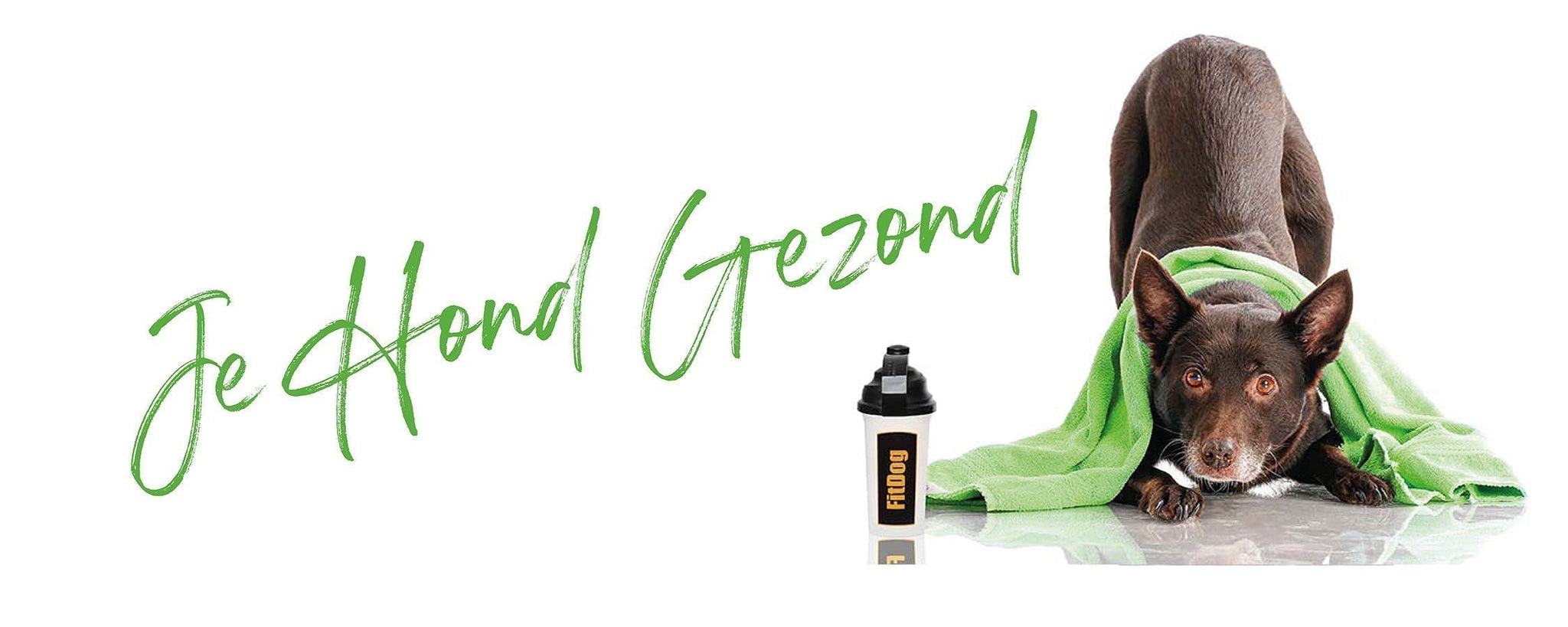 Hydratatie en hondensport