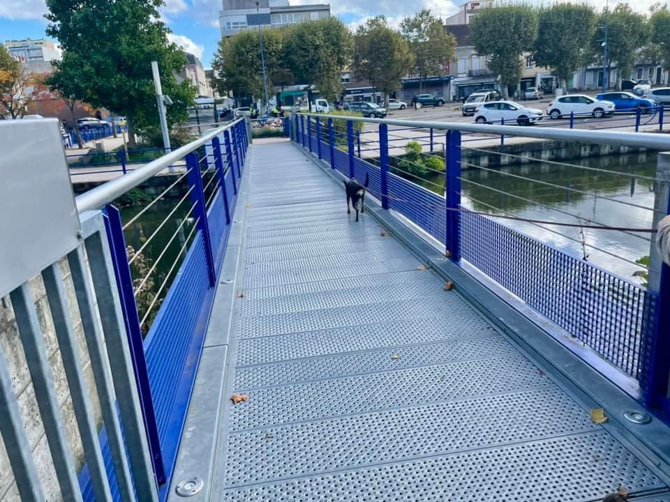 Verwaaiing en windpatronen