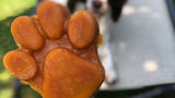 Pawsicle ijslollyvorm