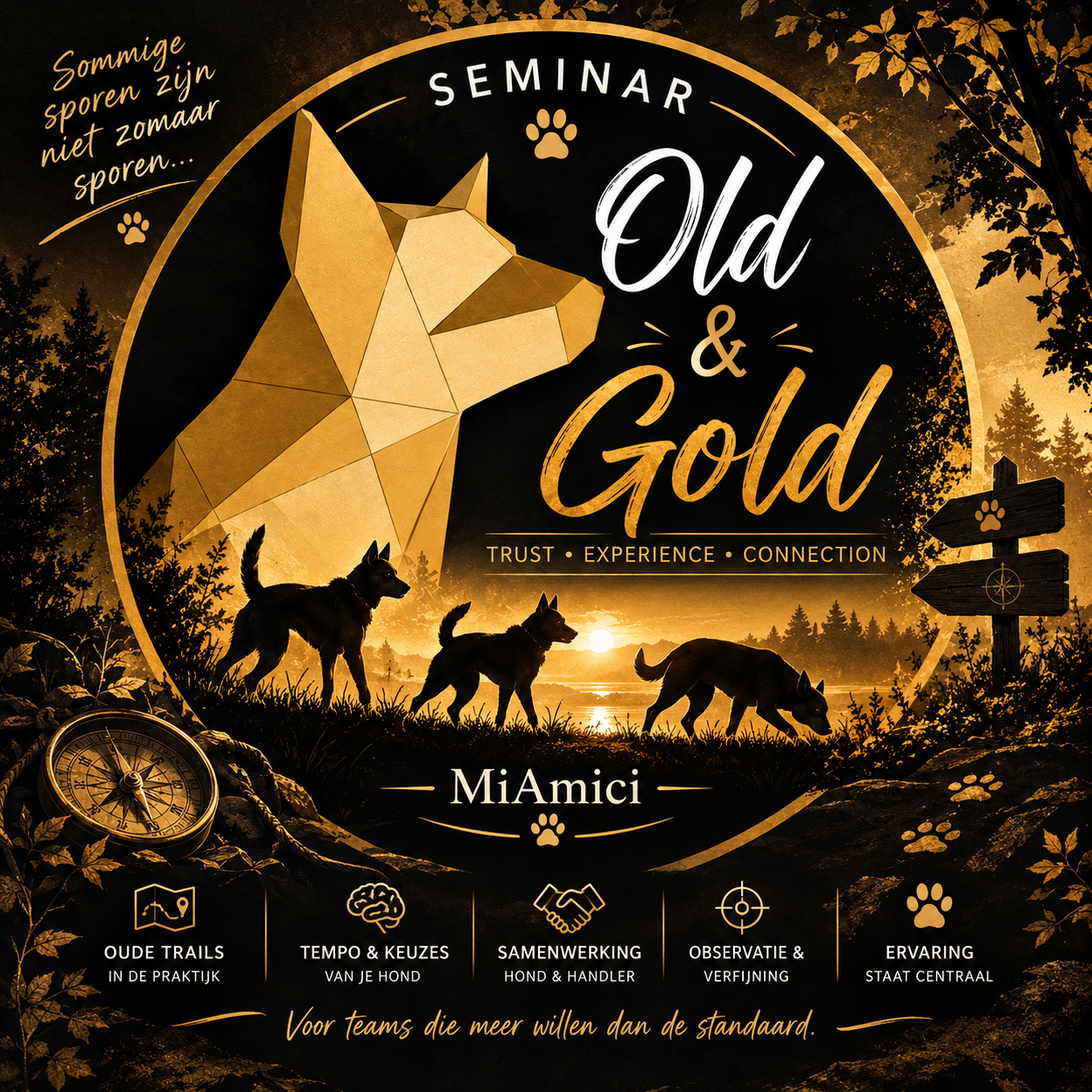 2026-12-12 Old & Gold Regio Weert