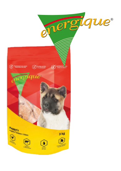 Energique Puppy