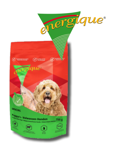 Energique Speciaal