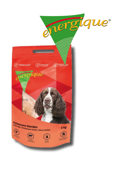 Energique Volwassen