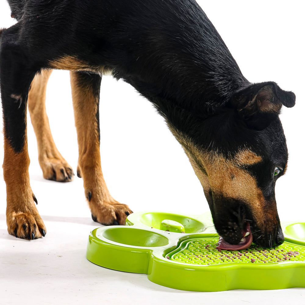 Paw 2-in-1 Slow Feeder & Lick Pad